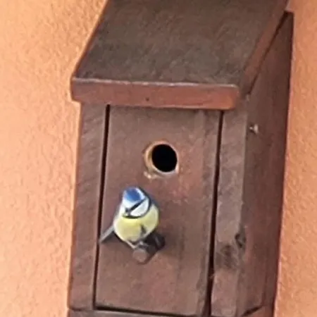 L'essentiel-appartement Neuf Et Cosy Avec Piscine Pfastatt